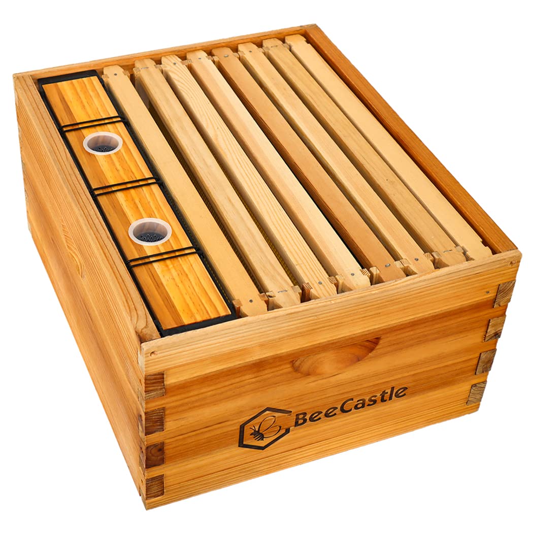 BeeCastle Bee Pro Feeder dimensions displayed