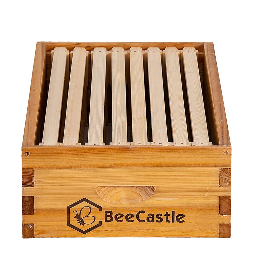 BeeCastle beehive box dimensions displayed