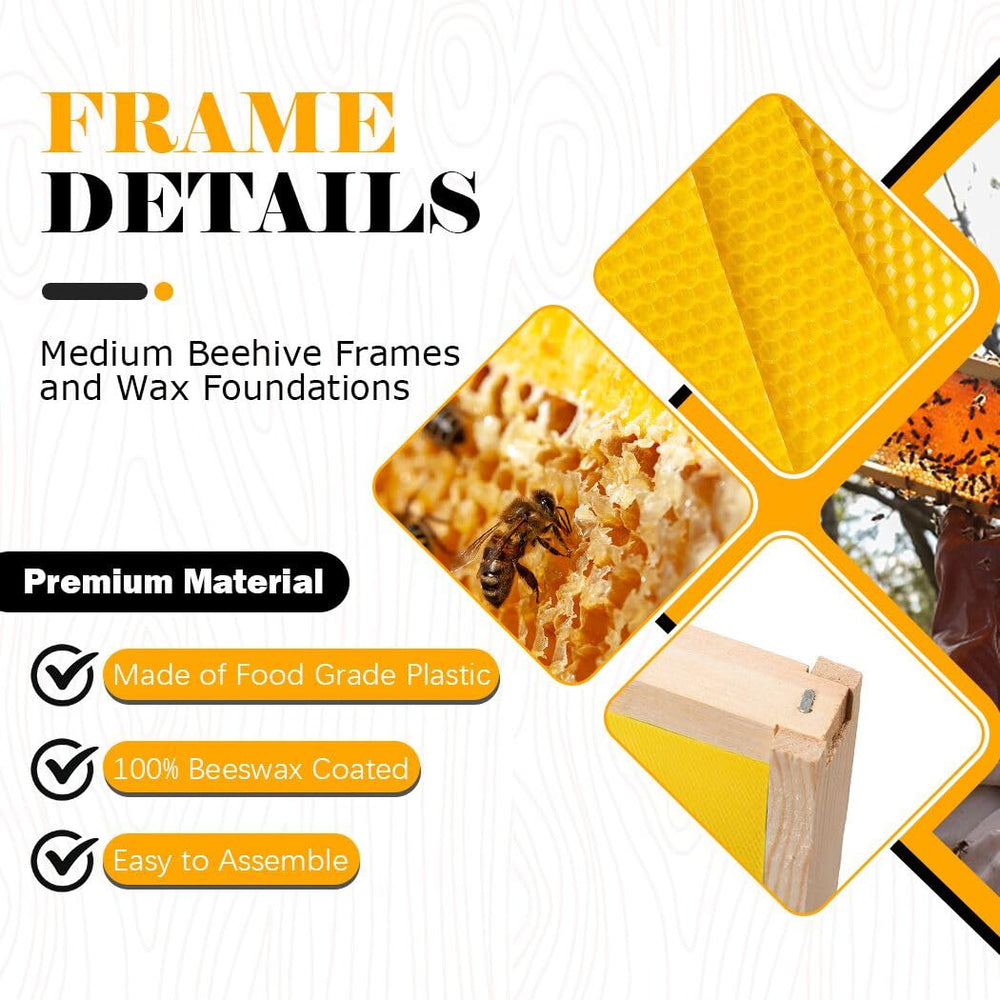 BeeCastle medium beehive frames assembled with beeswax foundation