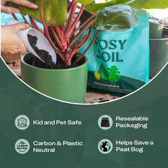 Beech wood plant brush included in the garden kit