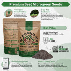 Beet microgreens growing in a soil medium