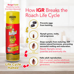 Bengal Gold Roach Spray usage in a kitchen setting