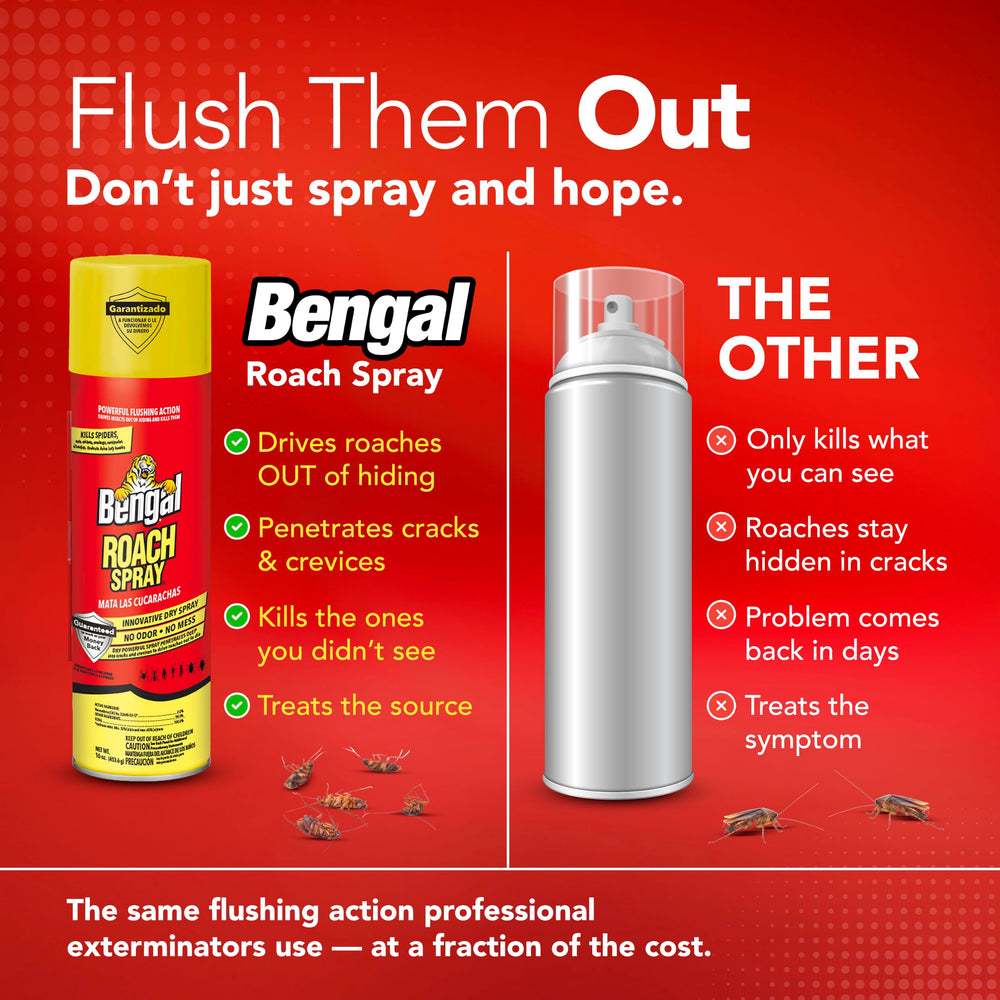 Bengal Roach Spray can showing ingredients list