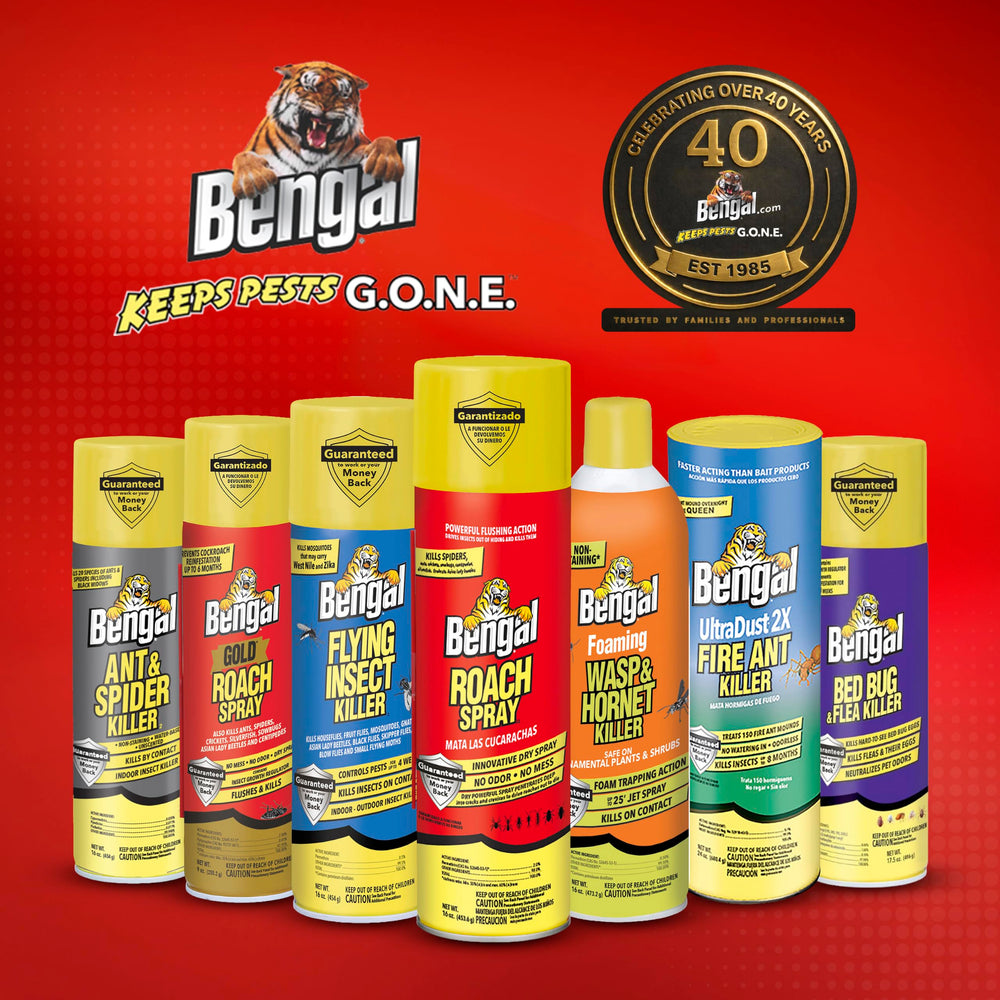Bengal Roach Spray in use around household corners