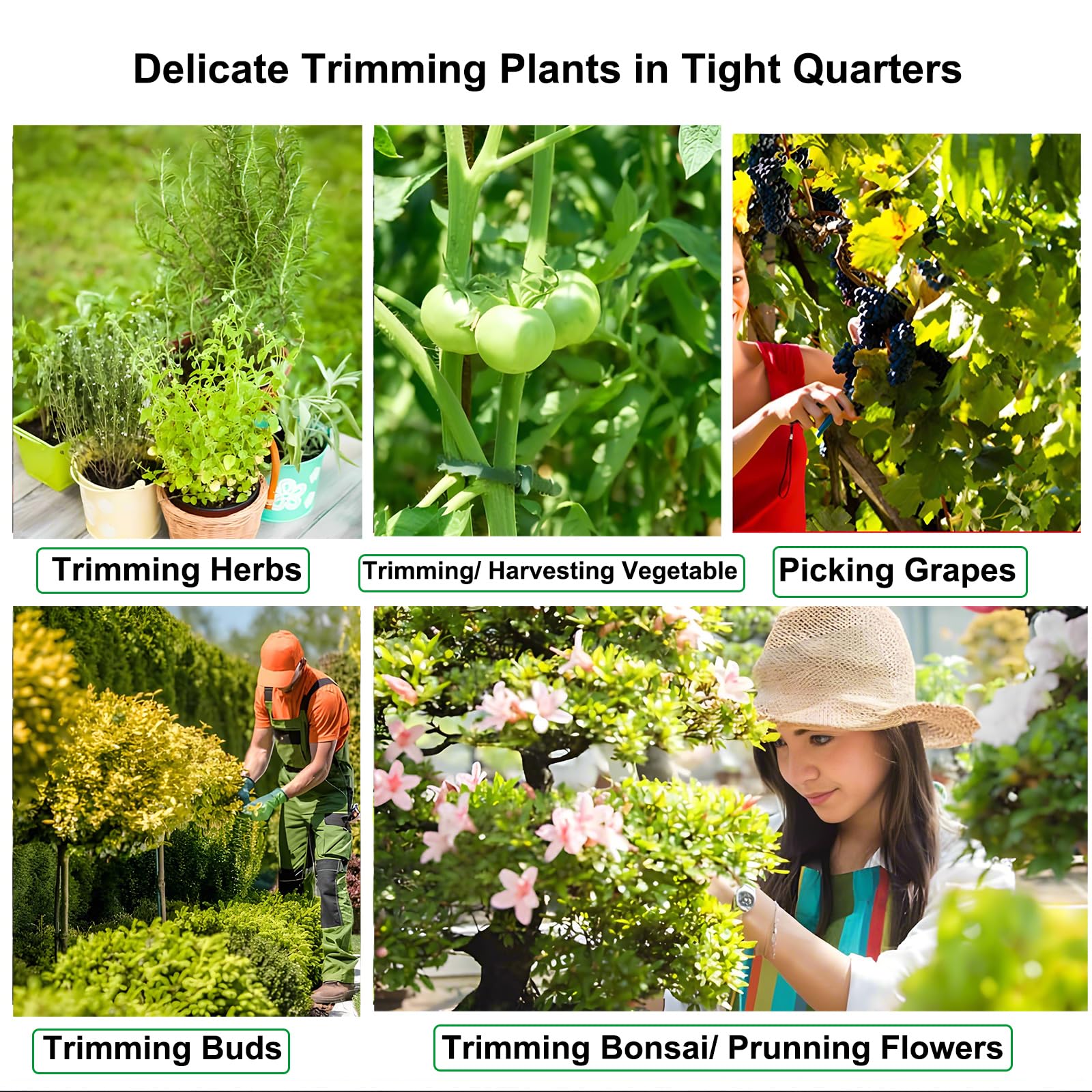 BEoffer 4 Pack Pruning Shears showing spring-loaded mechanism