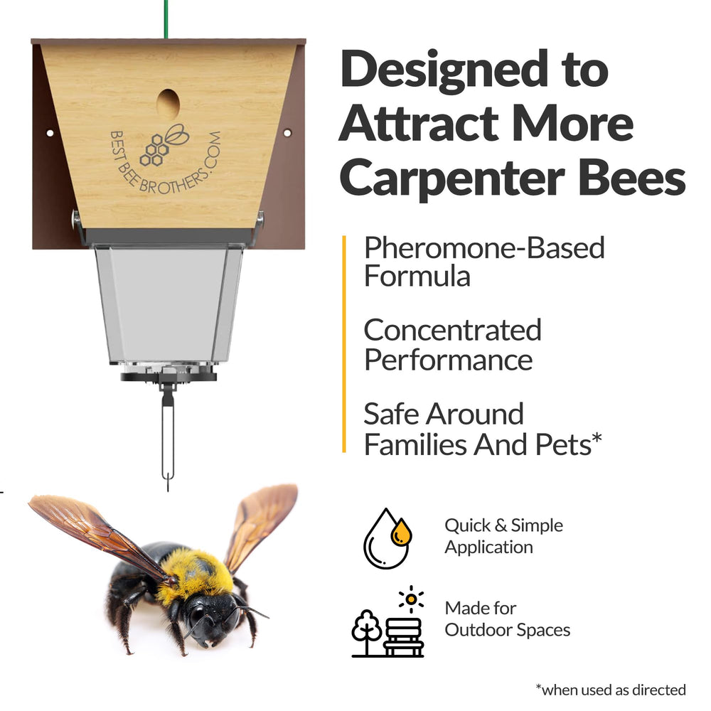 Best Bee Brothers Carpenter Bee Bait used in a garden trap