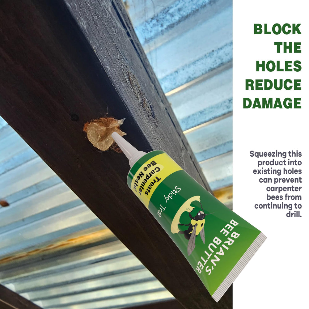 Best Bee Trap Carpenter Bee Trap set next to a garden