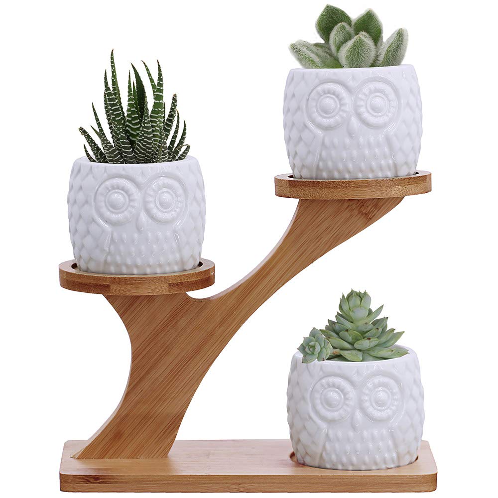 BESTTOYHOME owl succulent pot with bamboo stand front view