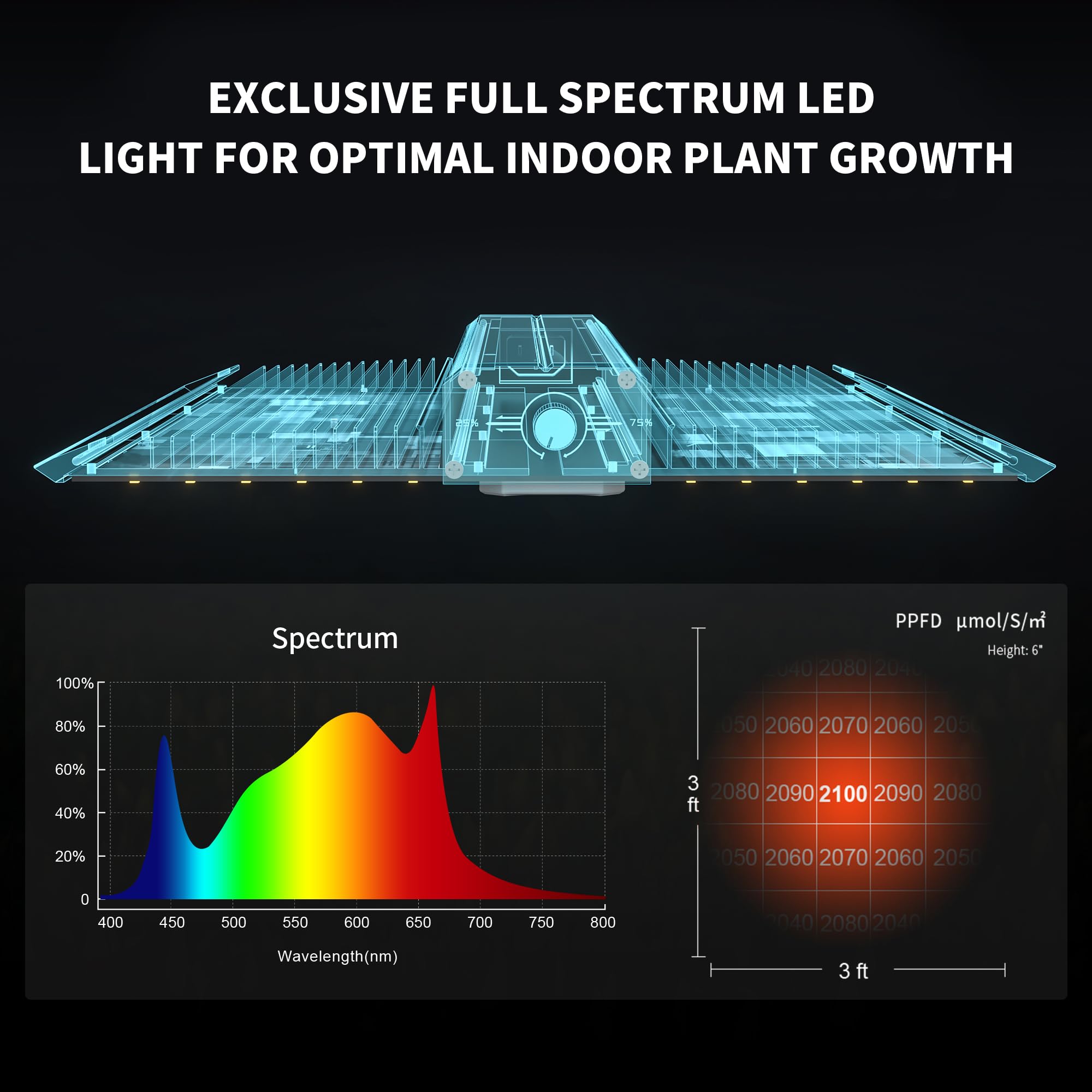 BESTVA BP2000 Light kit included
