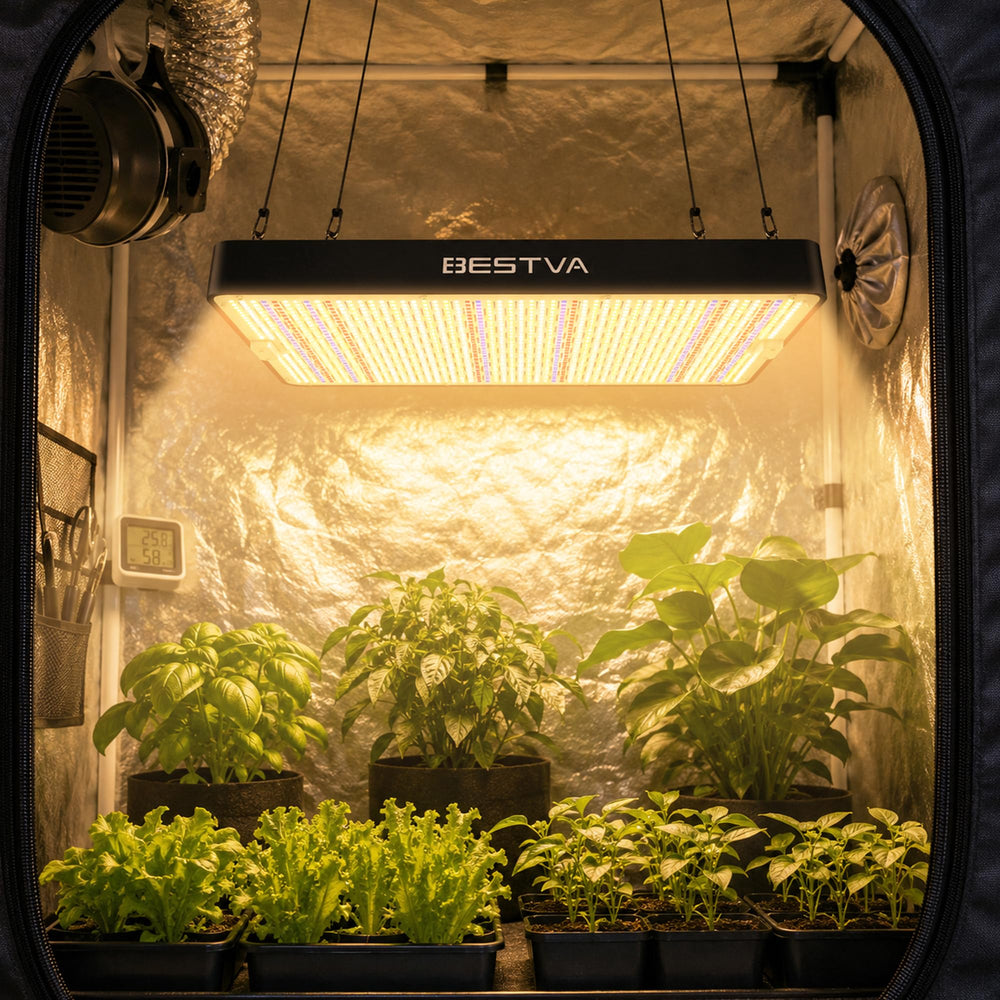 BESTVA DC1000 Grow Light close-up showing LED arrangement