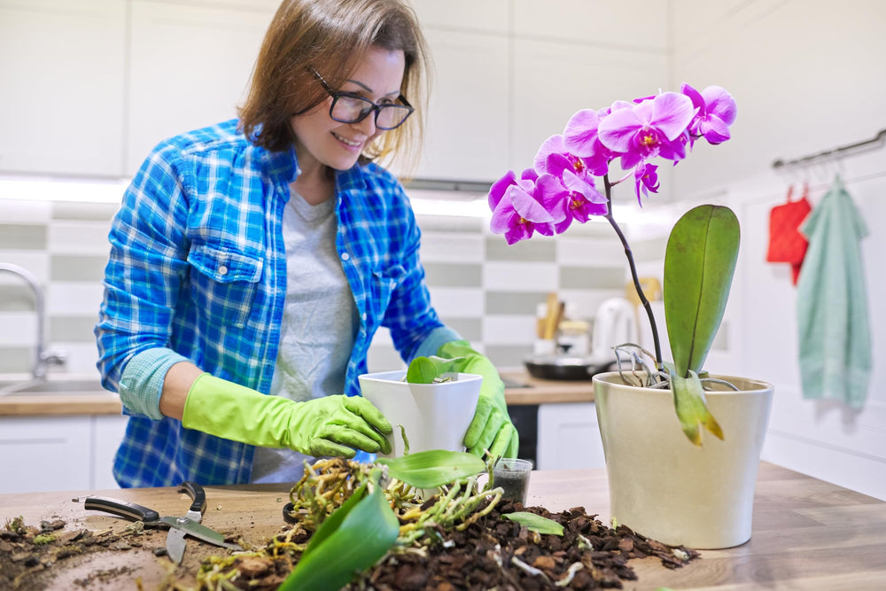 Better-Gro Phalaenopsis Potting Mix ingredients list