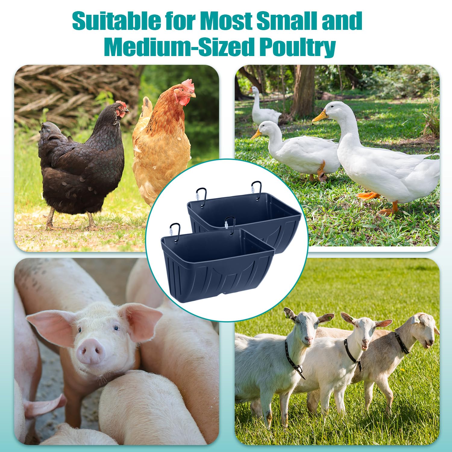 Bi fujian Chicken Feeder Waterer assembled with included components
