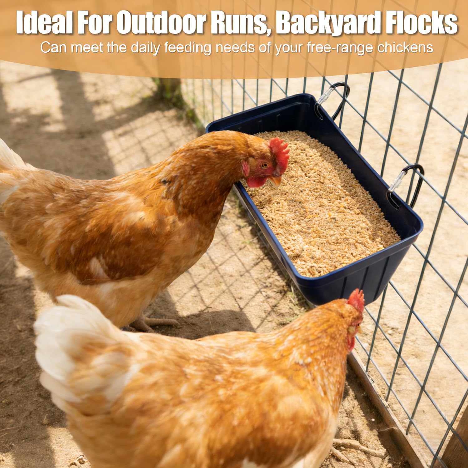 Bi fujian Chicken Feeder Waterer with easy access opening