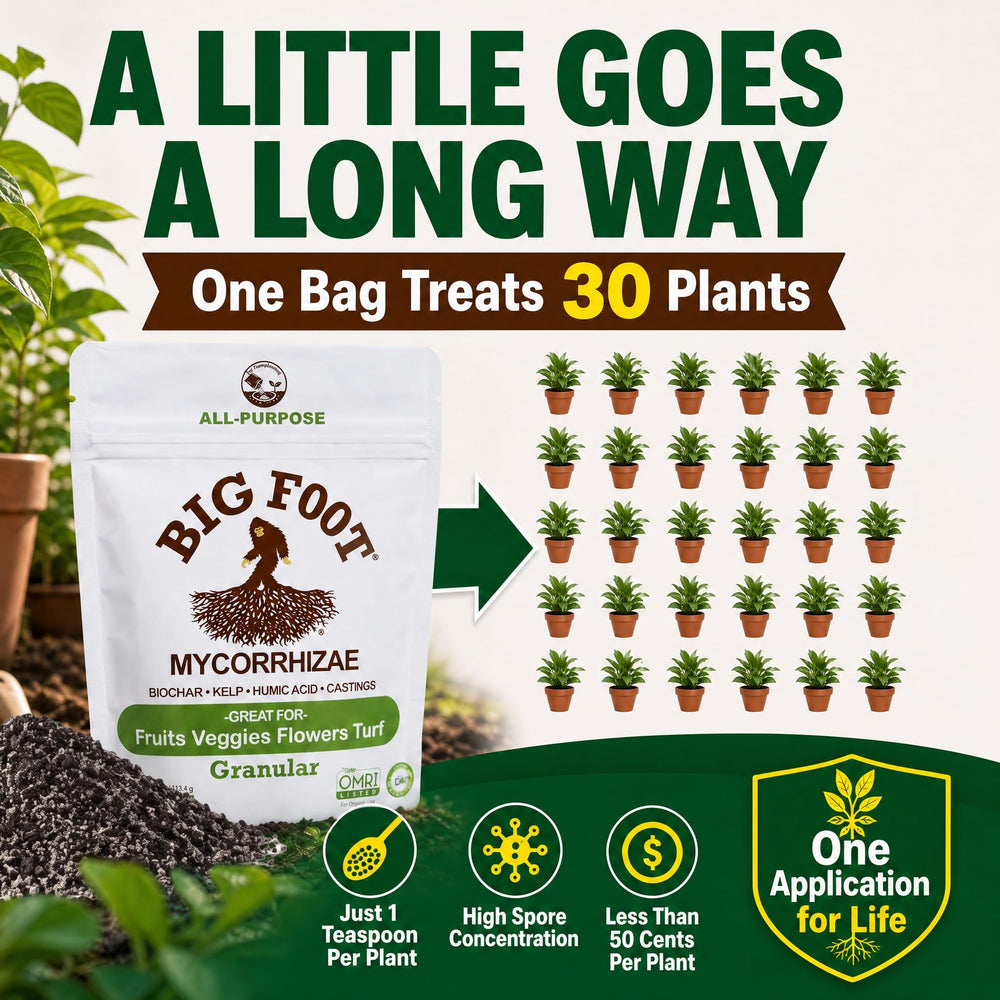 Big Foot Mycorrhizal Fungi Inoculant being applied to plant roots