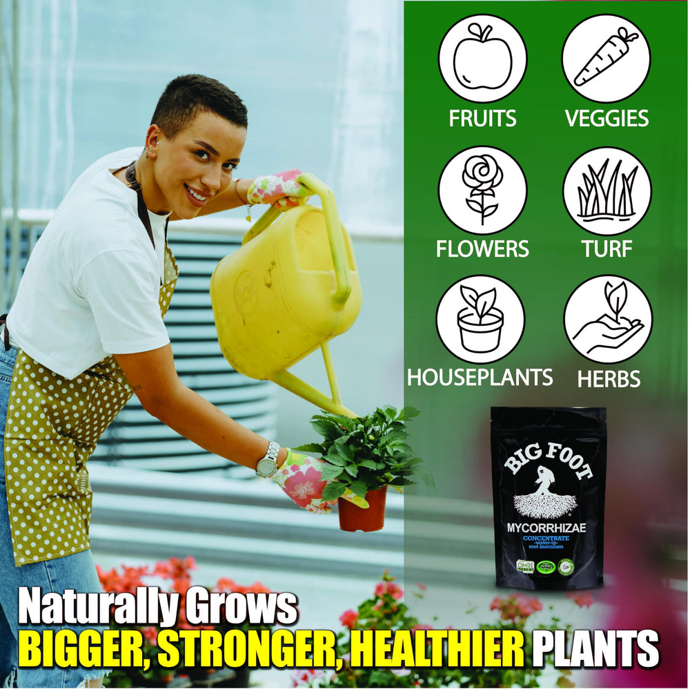 Big Foot Mycorrhizal Inoculant powder close-up