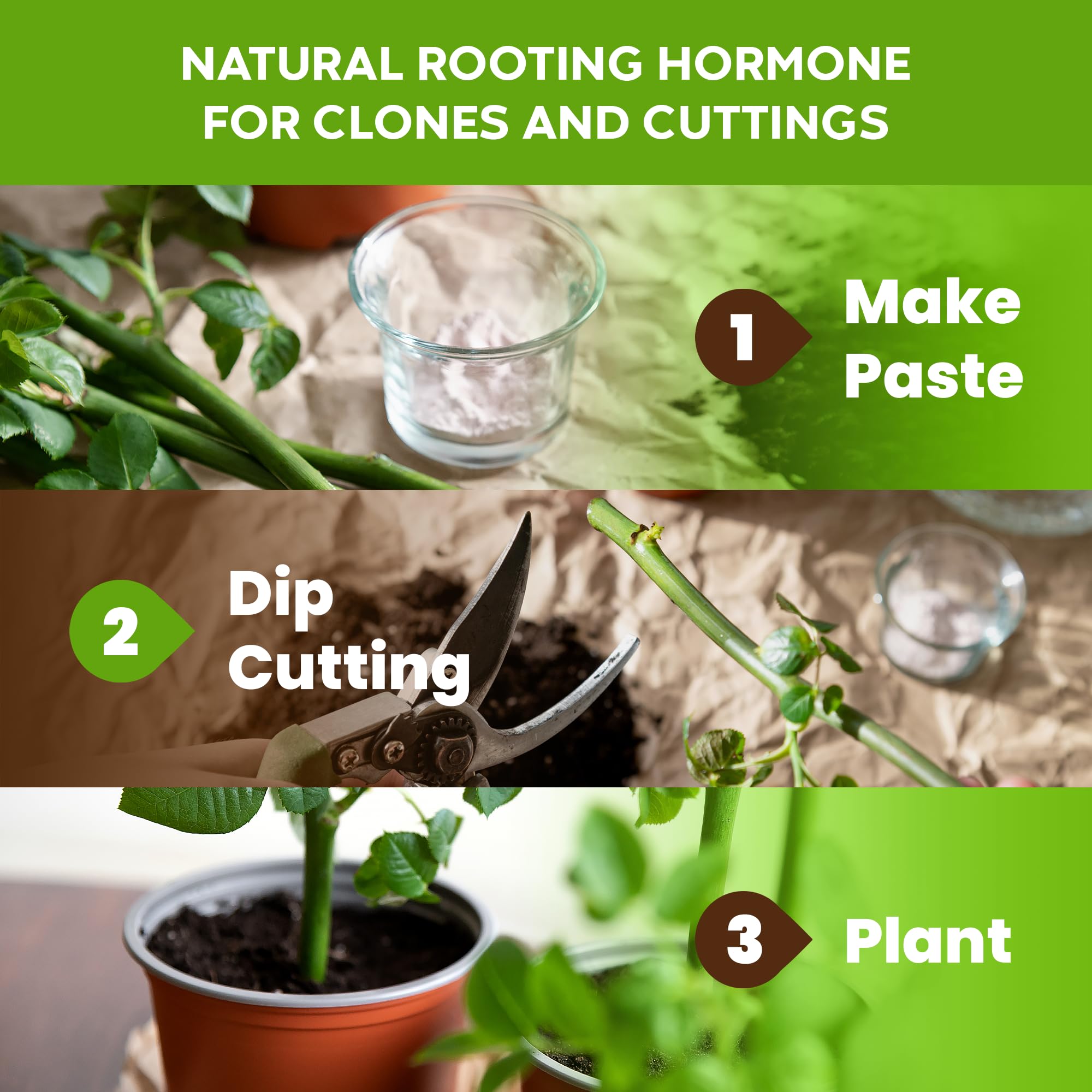 Big Foot Probiotic Root support Powder application on plants