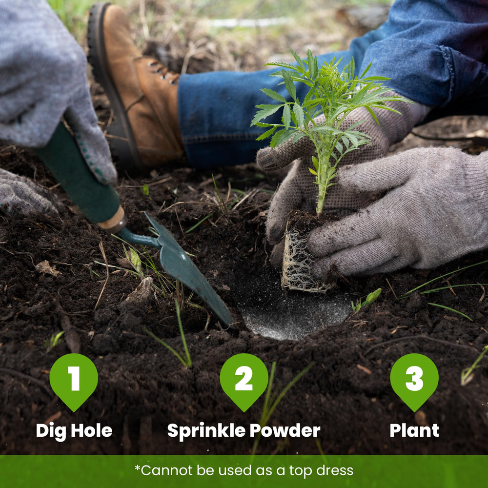 Big Foot Probiotic Root support Powder in a garden setting