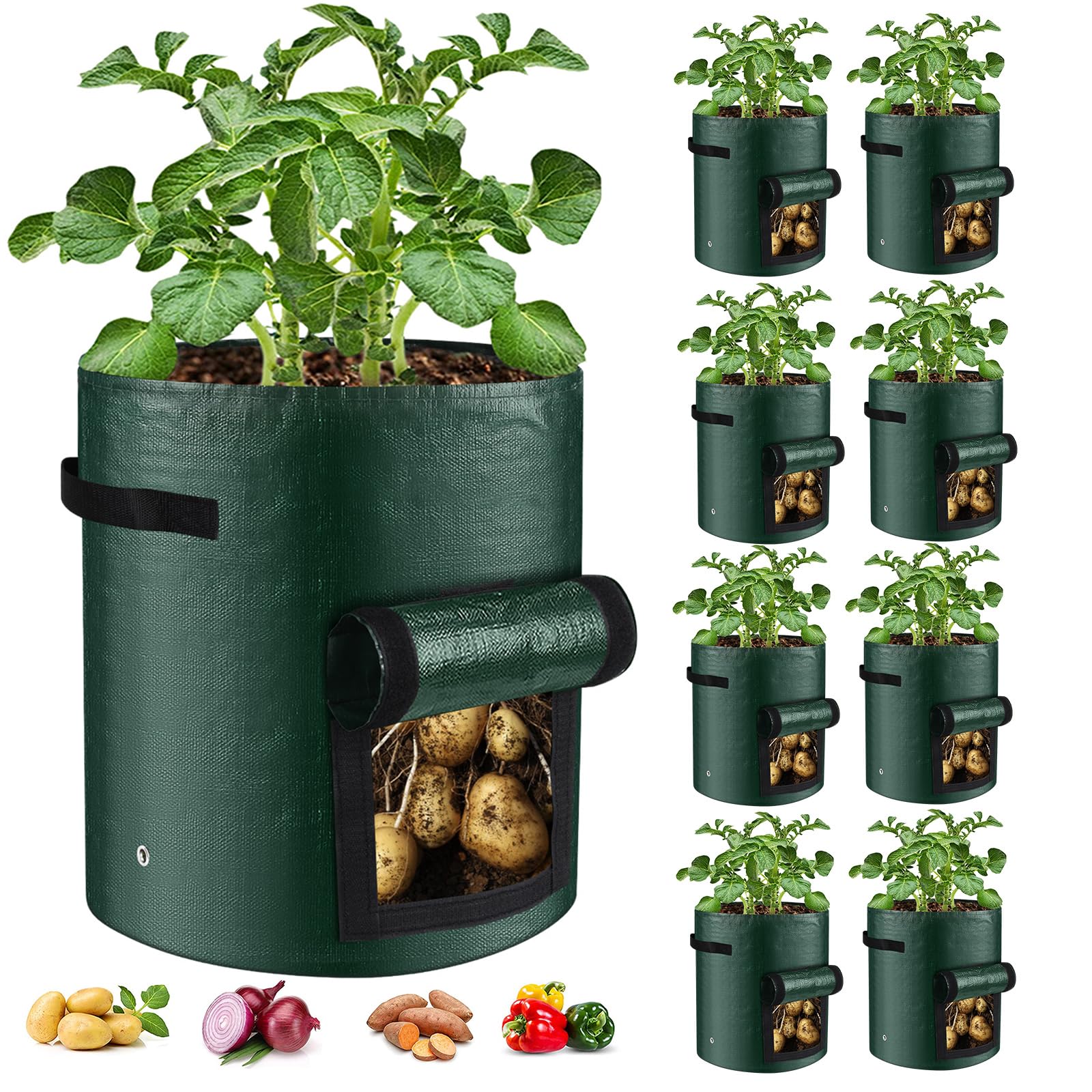 BIJOKETTEN 10 Gallon green grow bag front view