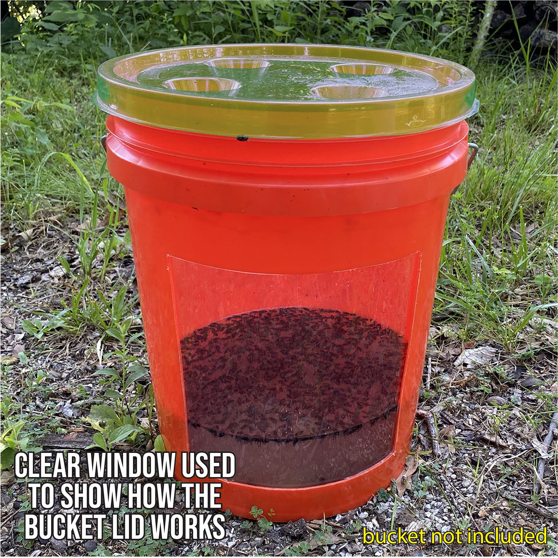 Billy-Bob Fly-Lid alongside other garden pest control tools