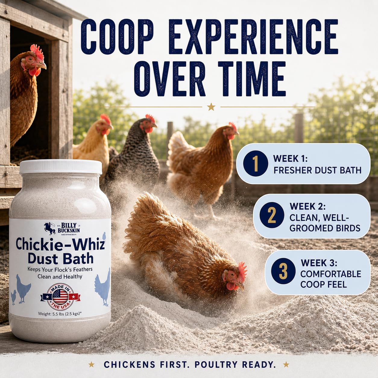 Billy Buckskin Chicken Dust Bath 5.5lb open with dust bath container