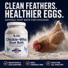 Billy Buckskin Chicken Dust Bath 5.5lb side view