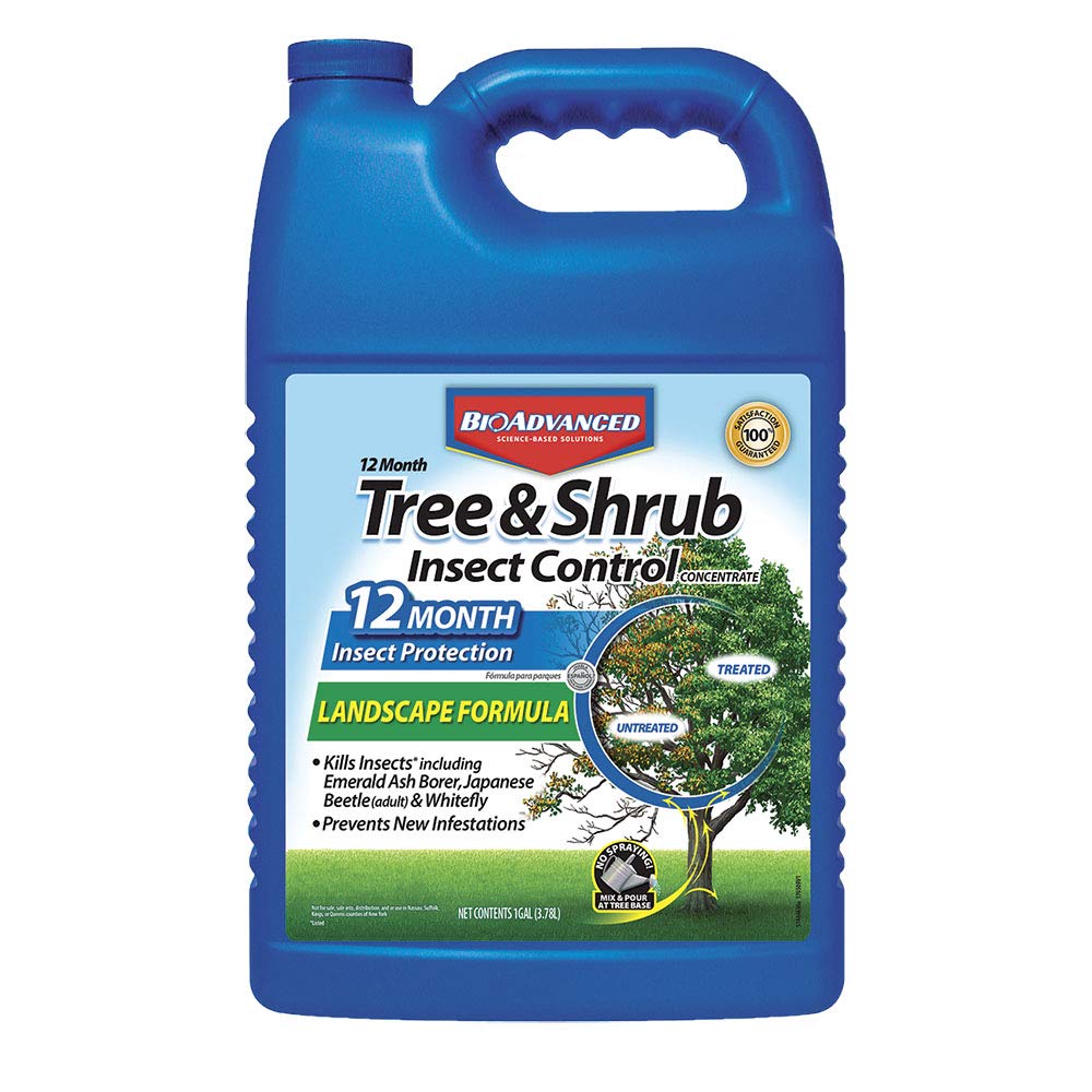 BioAdvanced 12 Month Tree & Shrub Insect Control Concentrate bottle front view