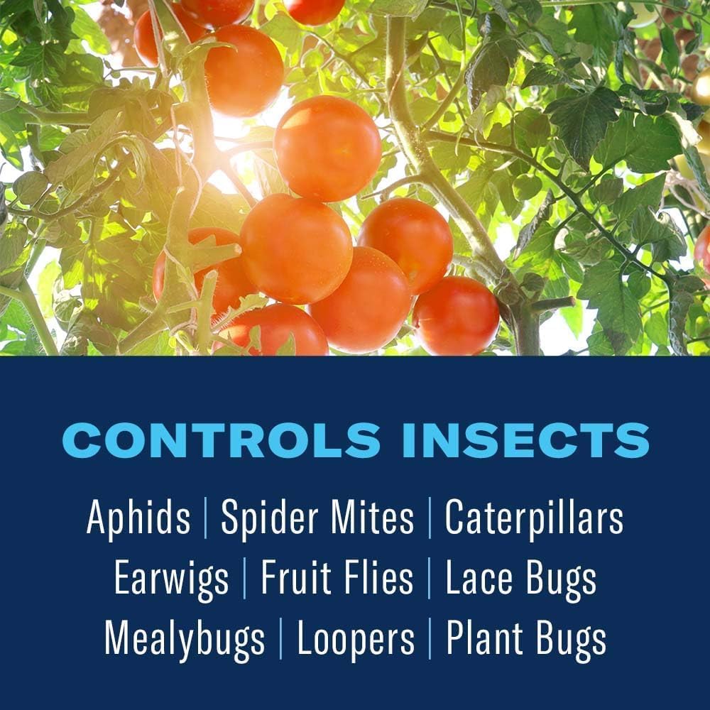 BioAdvanced 3-in-1 Fruit, Citrus & Nut Tree Spray label details