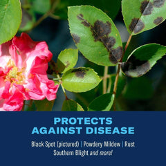 BioAdvanced All-In-One Rose & Flower Care Granules application on flowers