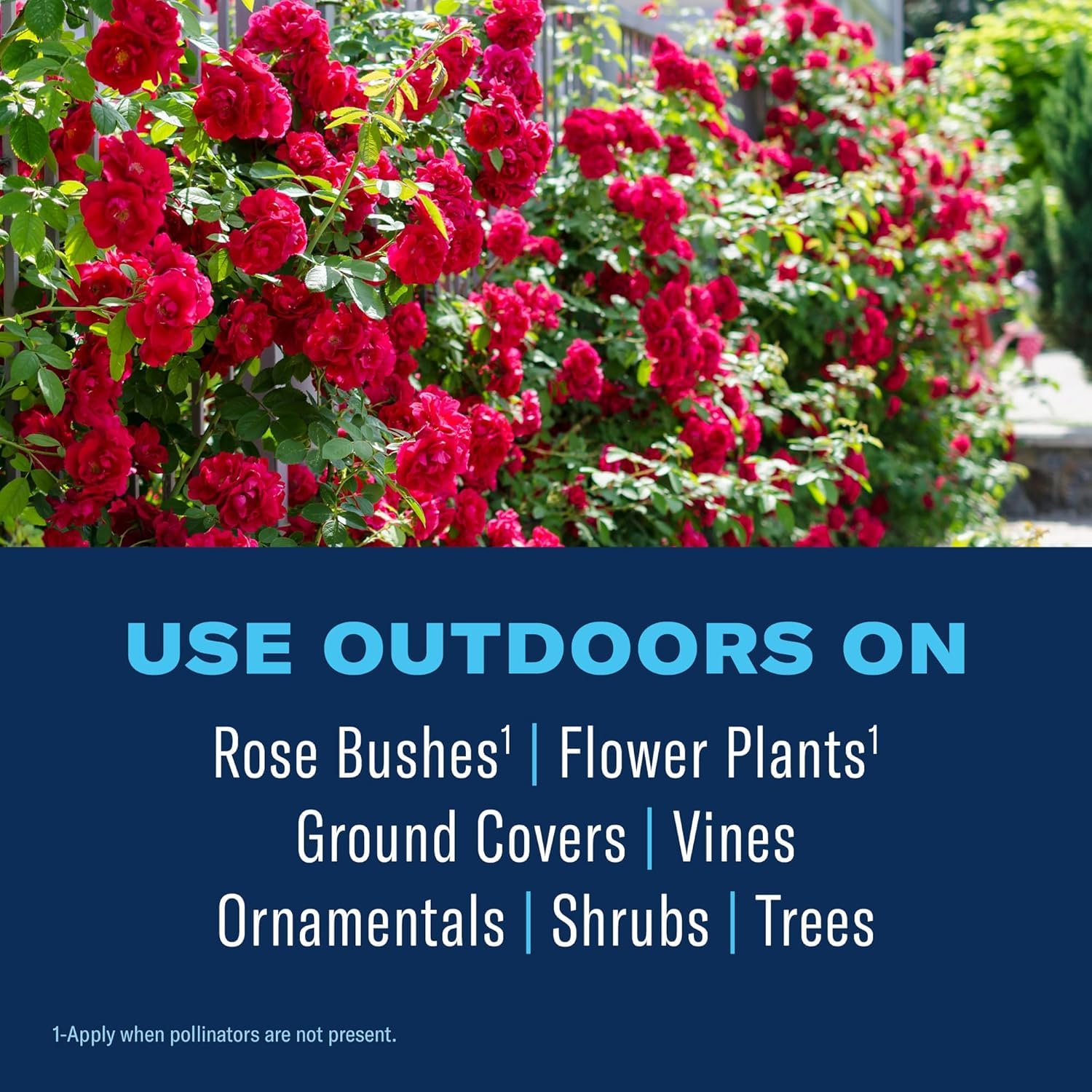 BioAdvanced All-in-One Rose & Flower Plant Care being applied to flowers