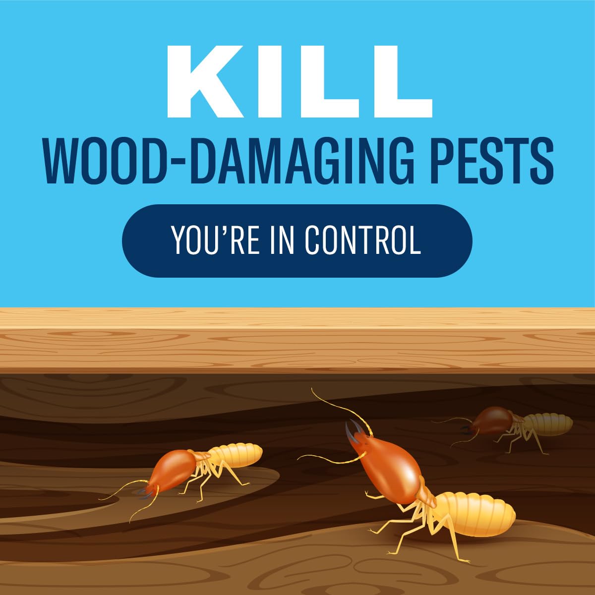 BioAdvanced Carpenter Ant & Termite Killer Plus Spray 1 Gallon applied in garden