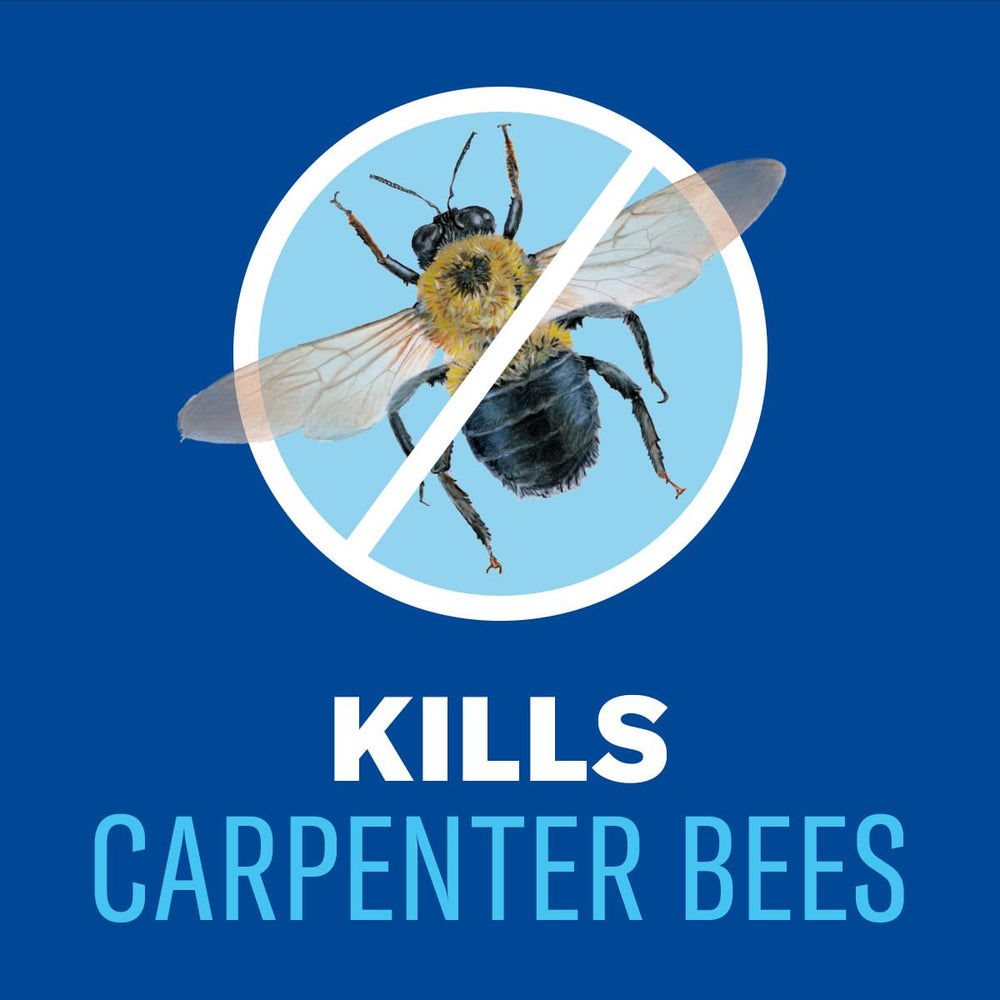 BioAdvanced Carpenter Ant & Termite Killer Plus Spray 1 Gallon packaging