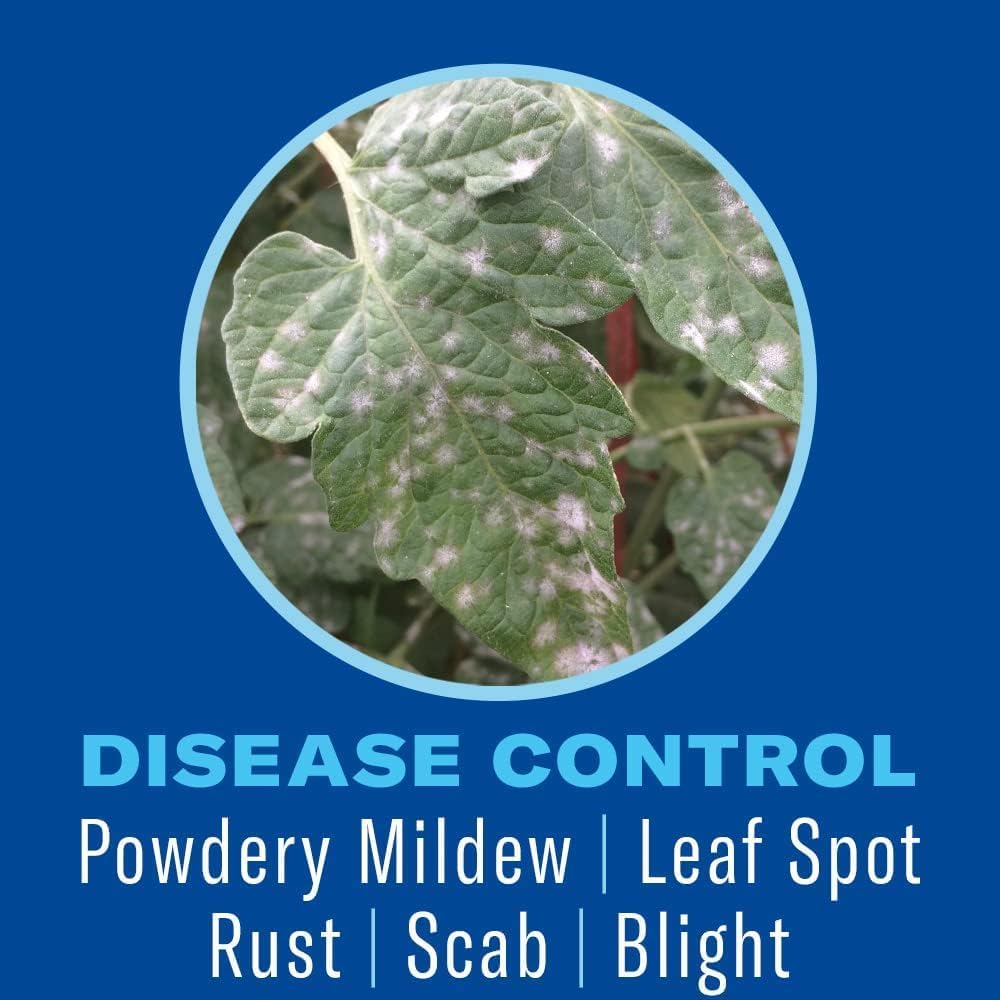 BioAdvanced Houseplant Insect & Mite Control Spray with label details