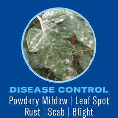 BioAdvanced Houseplant Insect & Mite Control Spray with label details
