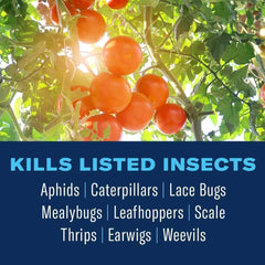 BioAdvanced Insect Control spray bottle side view