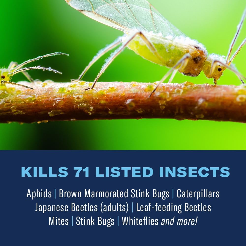 BioAdvanced insecticide concentrate label details