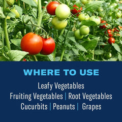 BioAdvanced Tomato & Vegetable Insect Killer on vegetable plants