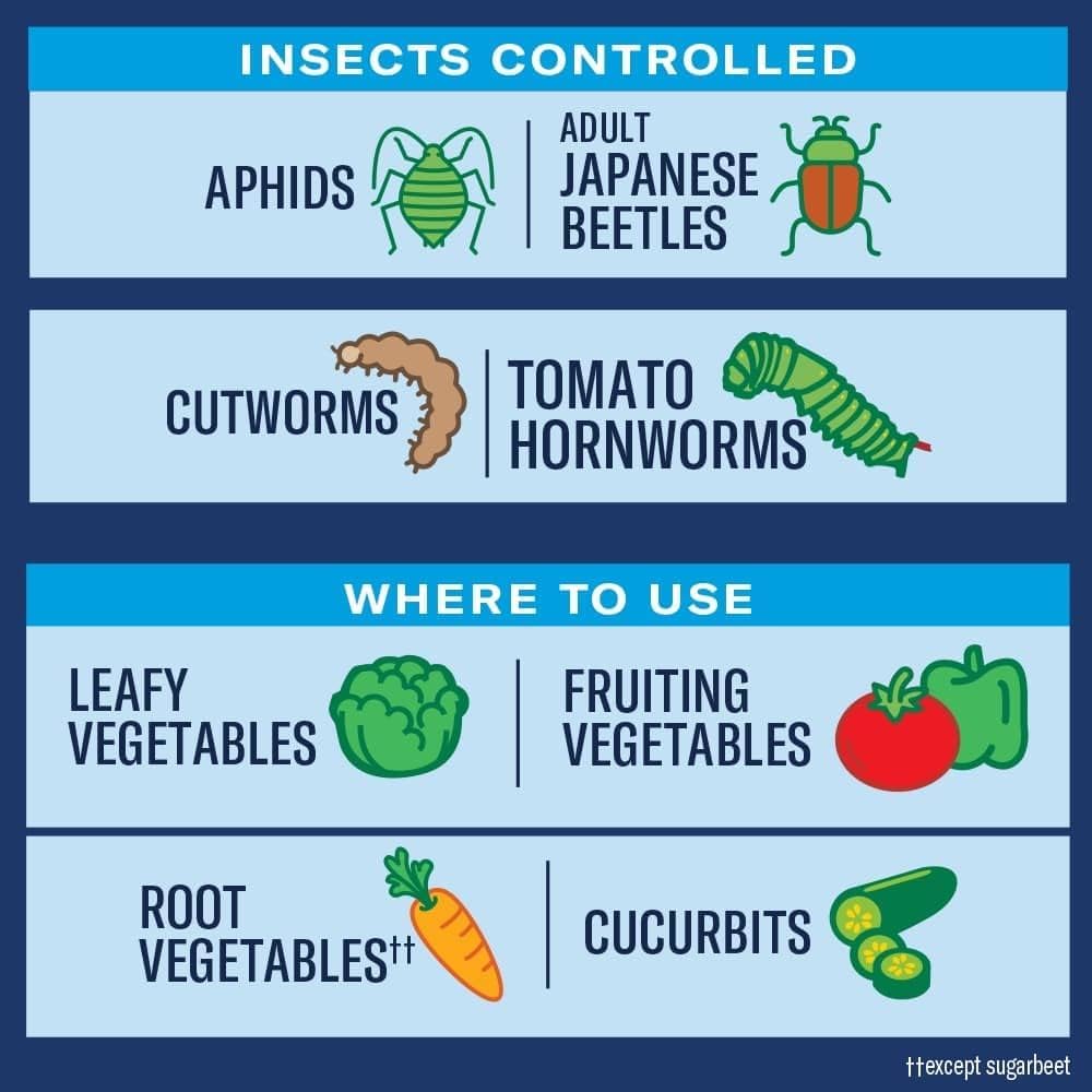 BioAdvanced Tomato & Vegetable Insect Killer ready-to-spray bottle