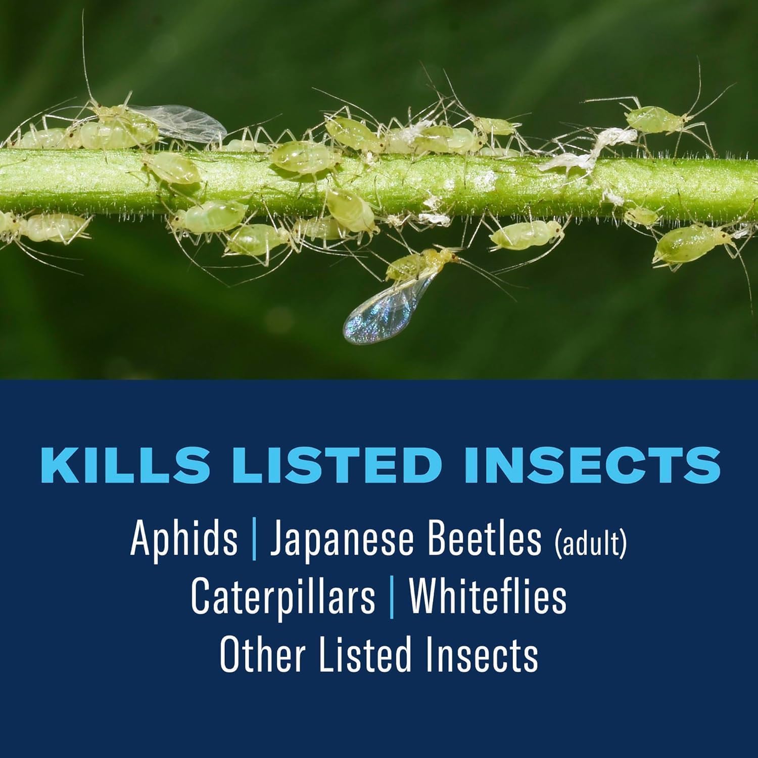 BioAdvanced Tree & Shrub Insect Killer Spray label close-up