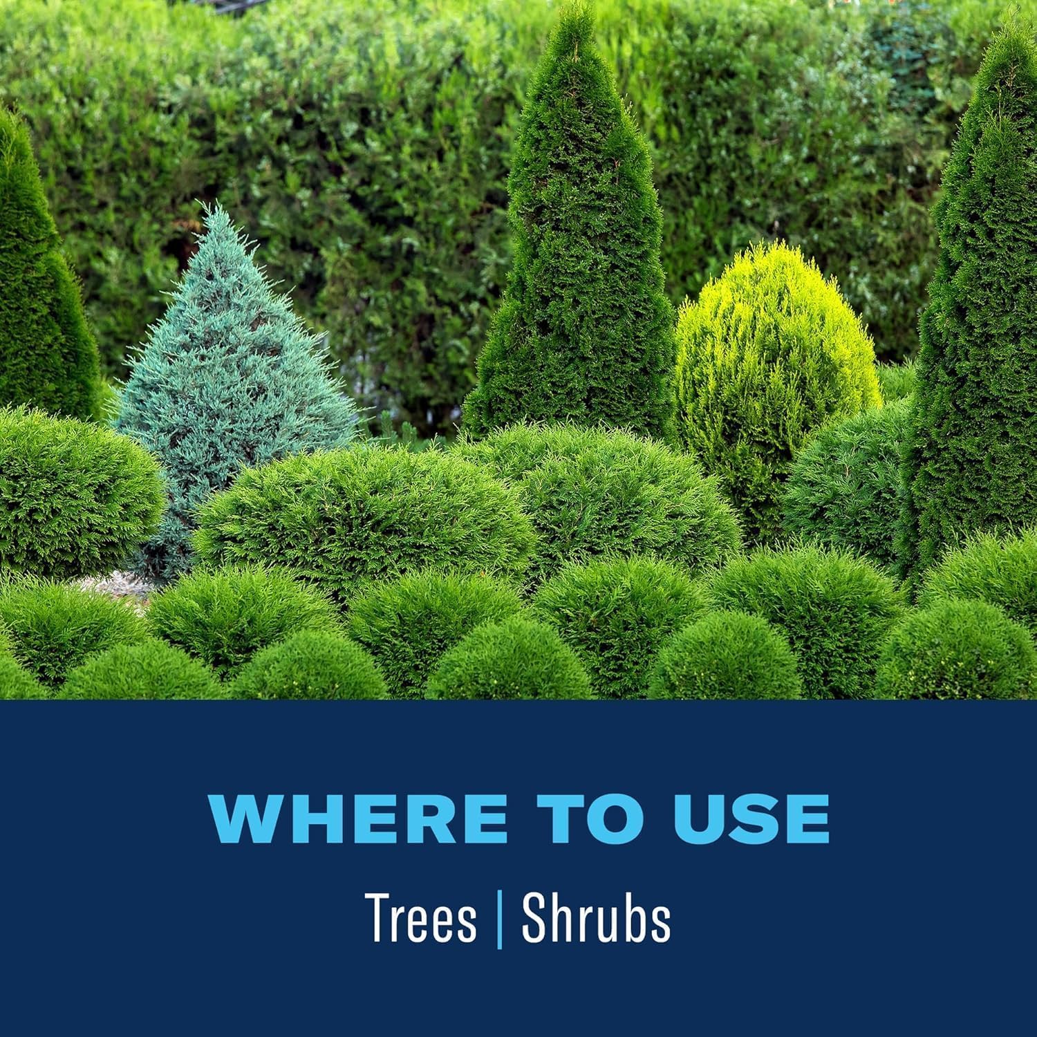 BioAdvanced Tree & Shrub Insect Killer Spray on garden hose