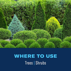 BioAdvanced Tree & Shrub Insect Killer Spray on garden hose