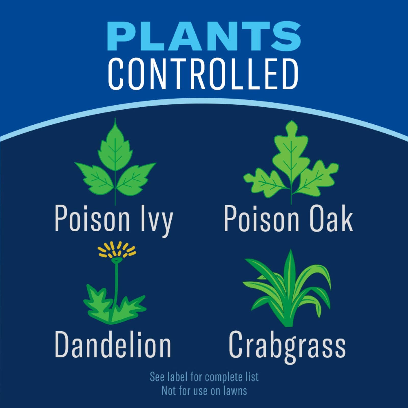 BioAdvanced Weed & Grass Killer concentrate with spray nozzle