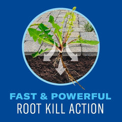 BioAdvanced Weed & Grass Killer in use on a patio