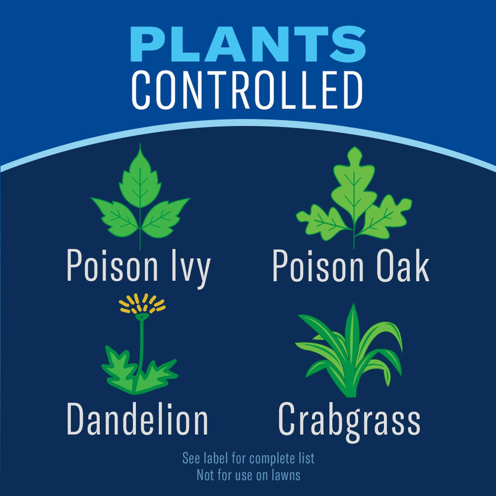 BioAdvanced Weed & Grass Killer Super Concentrate label with active ingredients