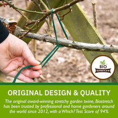 Biostretch garden ties used with bamboo canes for support
