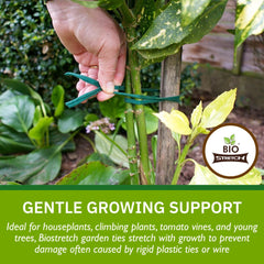 Biostretch Garden Twine used to support climbing plants