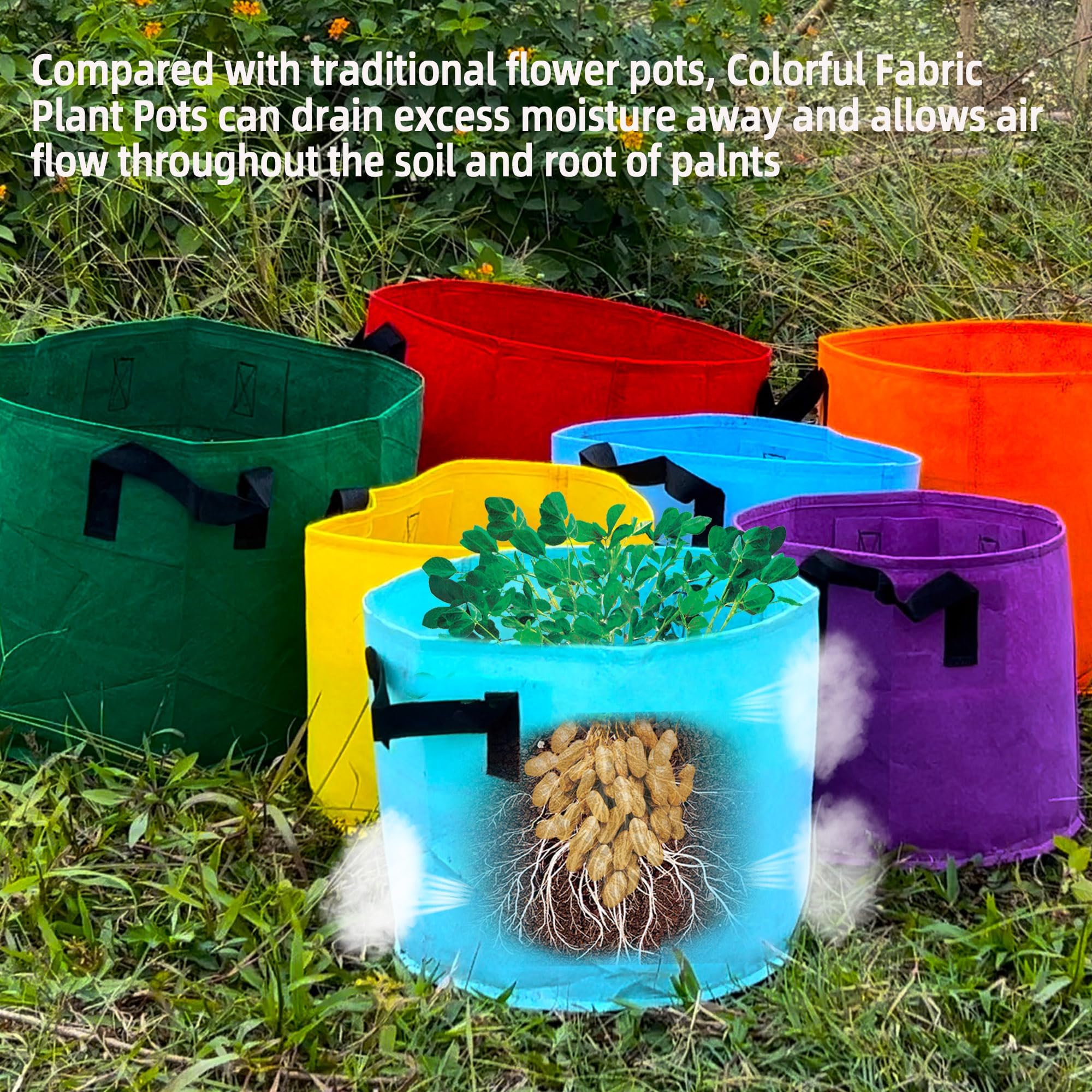 Biotolot 5-gallon grow bags in vibrant colours, side view