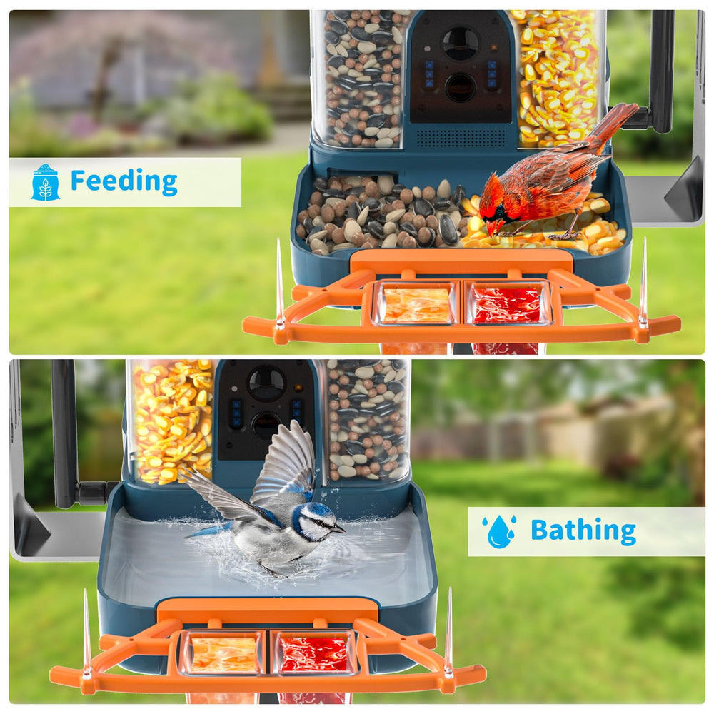 Bird bath area of the NAVFS Smart Bird Feeder
