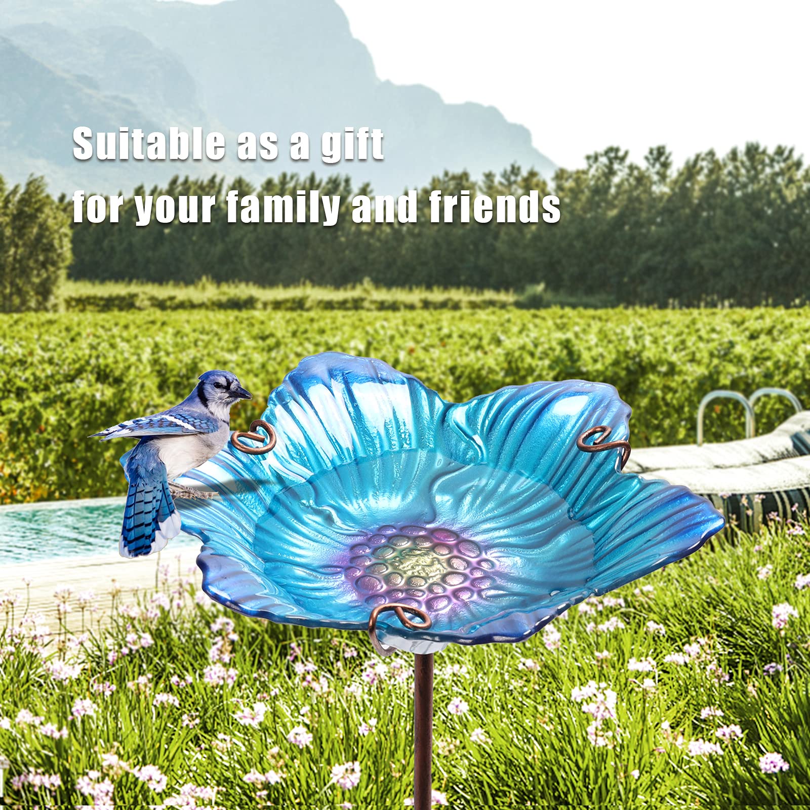 Bird bath in a garden setting surrounded by flowers
