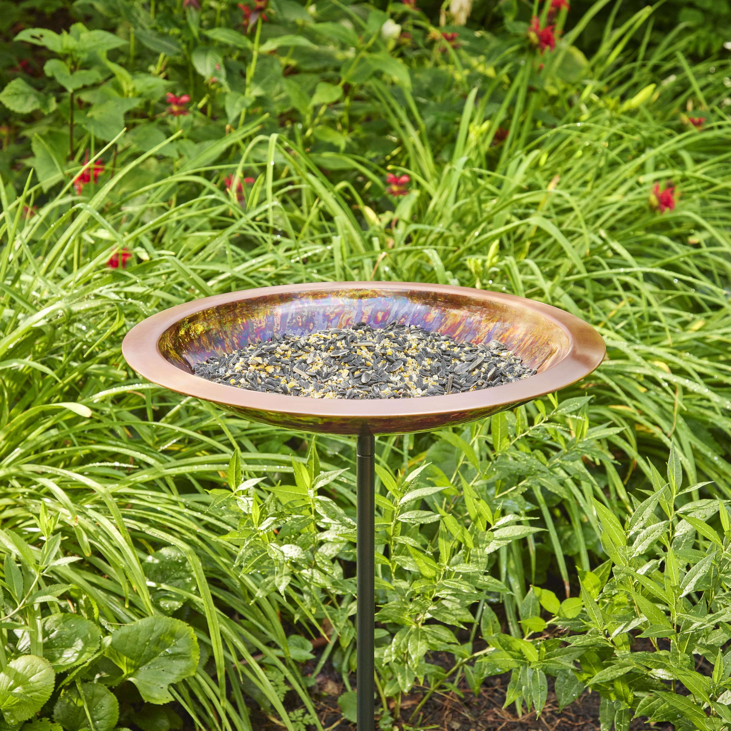 Bird Bath on garden pole surrounded by greenery