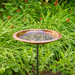 Bird Bath on garden pole surrounded by greenery